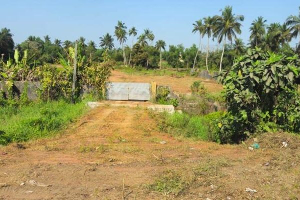 Odisha to Reclaim Unused Industrial Land Odisha-industrial-land