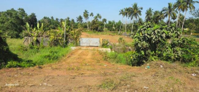 Odisha-industrial-land