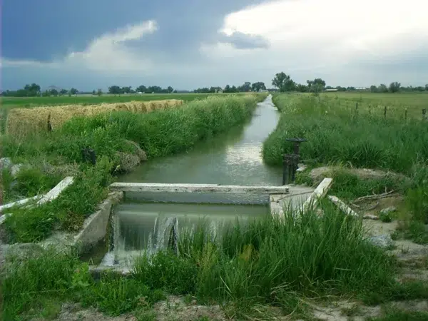 Odisha-RIDF-project-with-Nabard